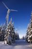 2010 01 23 09-27-30 Stieglitzeck 002